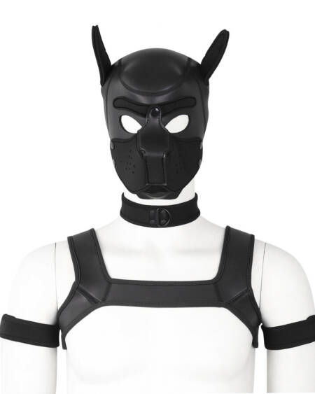 Sponge dog head cover